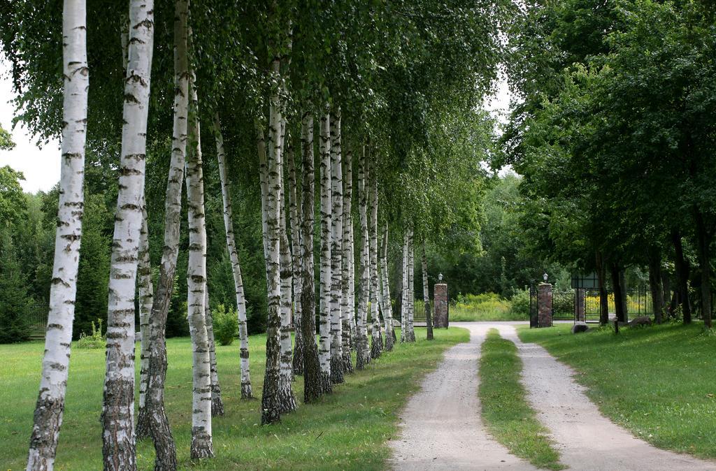 Villa Mamry Węgorzewo Esterno foto